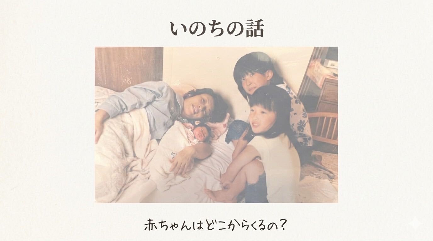 いのちの話「赤ちゃんはどこからくるの？」