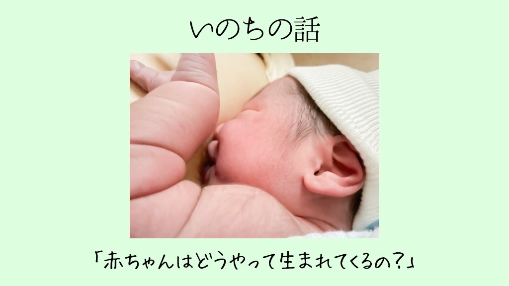 赤ちゃんはどうやって生まれてくるの？ 助産師がお答えします！