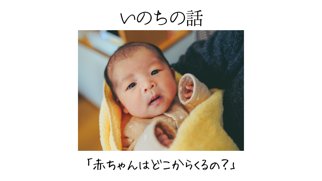 いのちの話「赤ちゃんはどこからくるの？」